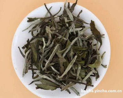 扬州出名的茶叶店及品牌，有哪些茶叶？