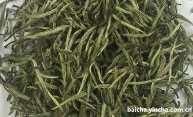 白茶与绿茶的5大区别，你一定要掌握！