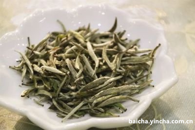 什么茶适合做白茶喝和饮料，白茶可以煮着喝