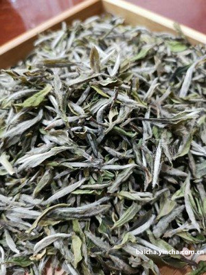 白茶13年配料22制茶饼好喝吗？价格多少合理？