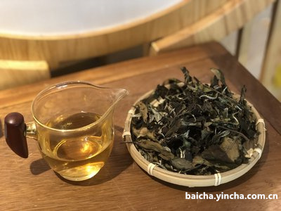 冰岛白茶用什么茶具泡好喝？泡法分享