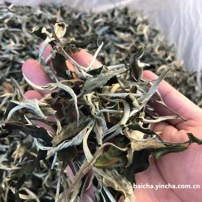 州的茶叶是哪种品牌？