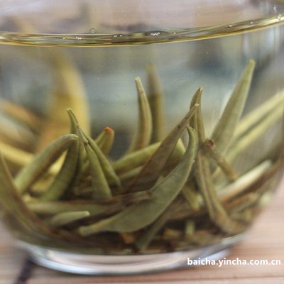 普洱白茶饼的功效与禁忌，及与普洱茶饼、白茶饼的区别