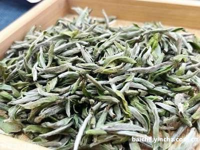 刺五加茶能和绿茶一起喝吗及其功效