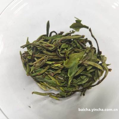 冷泡白茶用新茶还是老茶，冷泡茶 白茶