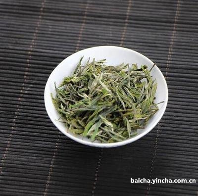 白茶和古树茶的区别