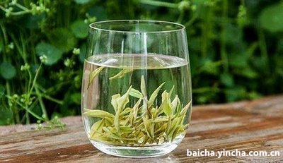 白茶需要醒茶吗