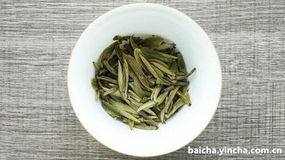 太白顶芽属于什么茶