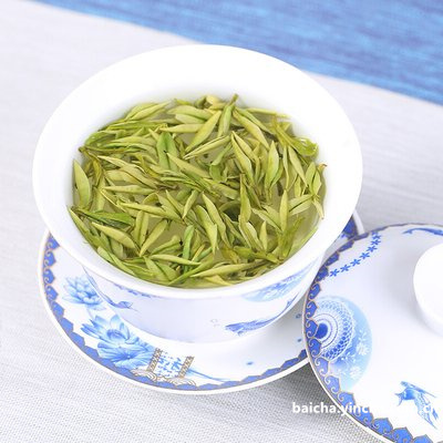 安吉白茶春茶什么时间开采？