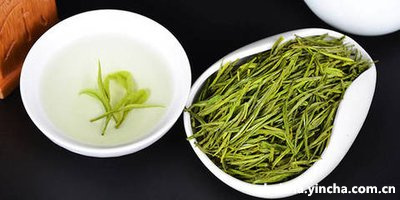 大湾头白茶村福鼎白茶,福建福鼎大湾头茶业有限公司