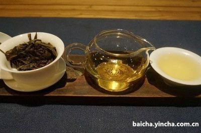 贡眉白茶投茶量