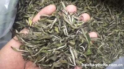 神奇的美白秘籍——普洱茶洗脸