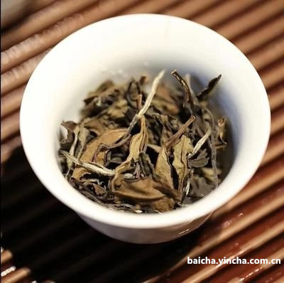 白茶是散茶的好，还是饼茶的好？