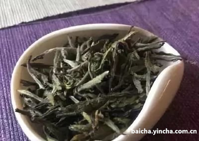 哪些人不适合喝白牡丹茶