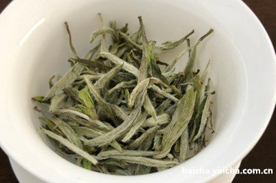 包普洱茶白棉纸特点