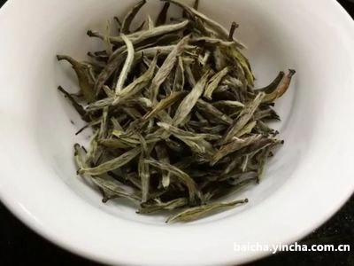 包普洱茶白棉纸特点