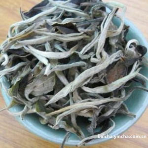 白大师茶叶寿眉,福鼎大白寿眉茶