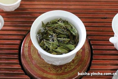 福鼎白茶散茶好还是饼茶好,白茶饼和散茶哪个好