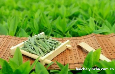 10斤装白毫银针,白毫银针茶多少钱一斤?