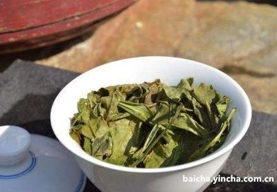 福鼎白茶散茶好还是饼茶好,白茶饼和散茶哪个好