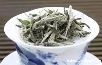 白茶是散茶的好，还是饼茶的好？