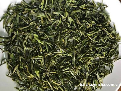 别再说“茶毫没有用”了，白毫银针的毫毛真有用