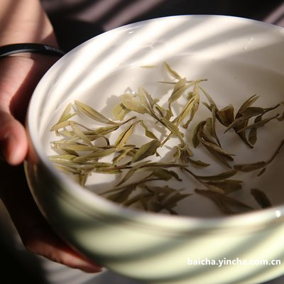 古堂香茗寿眉,古堂香茗茶小罐茶