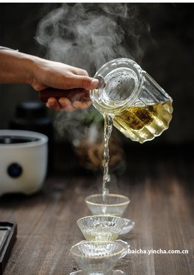 安吉白茶是什么茶？好喝吗