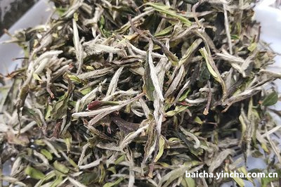 别再说“茶毫没有用”了，白毫银针的毫毛真有用