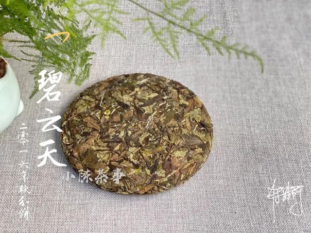 白茶茶饼怎么做成的视频教程