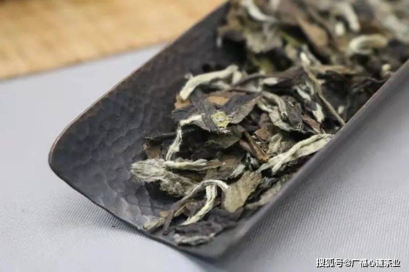 怎样鉴别安吉白茶的好坏视频、图片及辨别方法