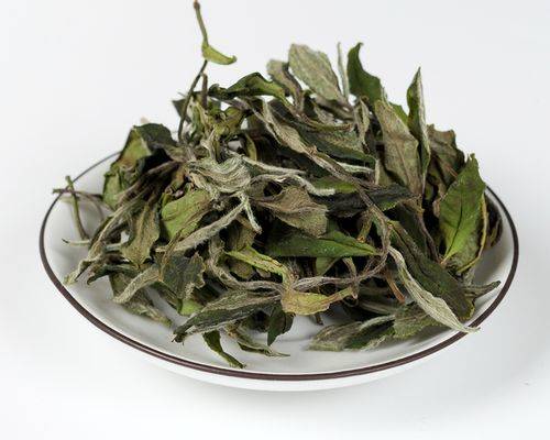 白茶与黑茶哪个适合泡茶和喝，有何区别？