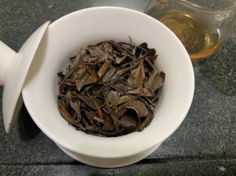 白茶与黑茶哪个适合泡茶和喝，有何区别？