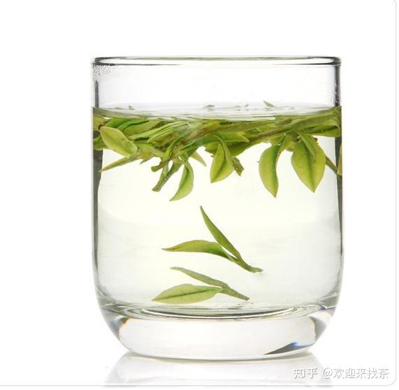 安吉白茶芽头粗细长好喝吗？