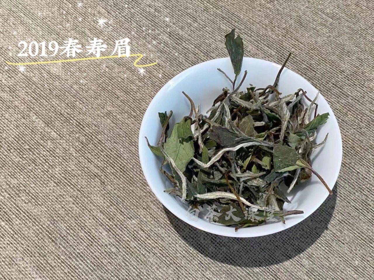 可以叫白茶的绿茶是什么