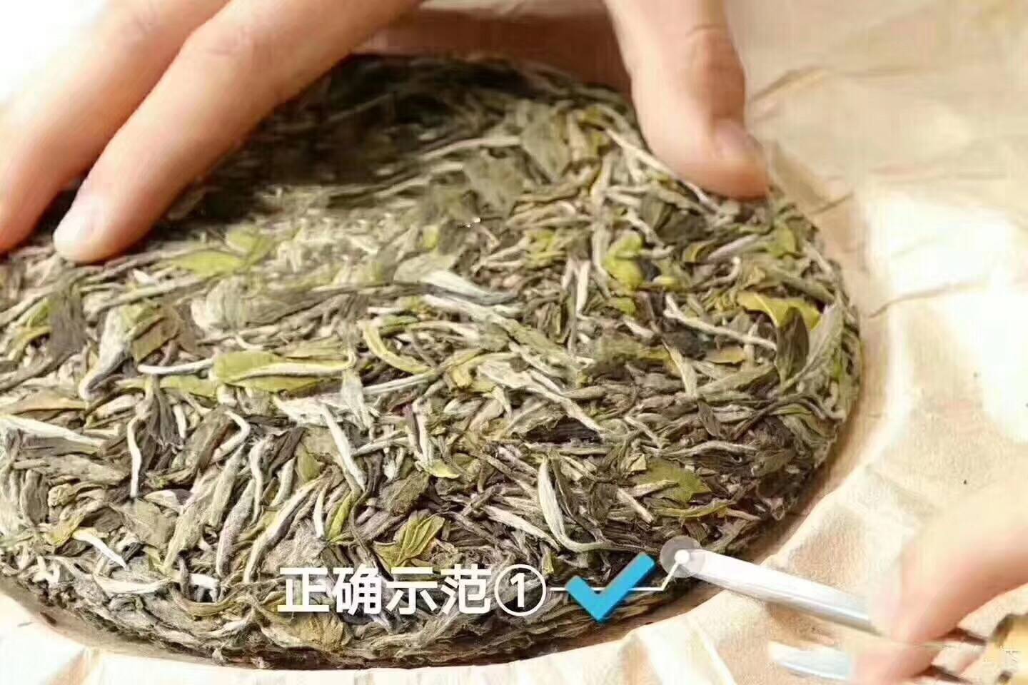 福鼎白茶茶饼如何打开子图解方法