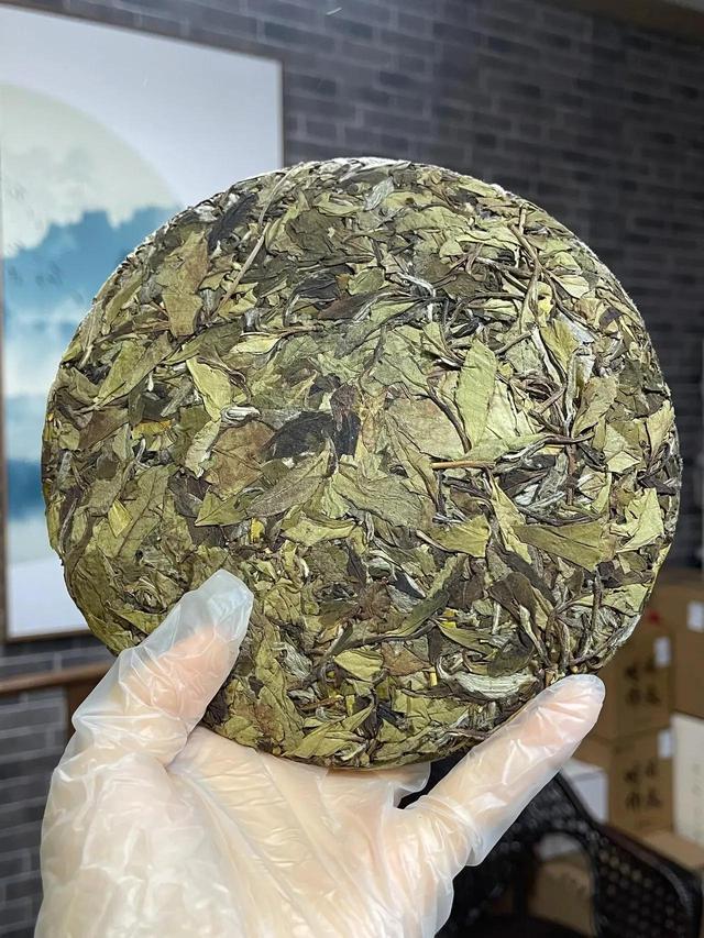 白茶饼应该怎么泡才好喝？