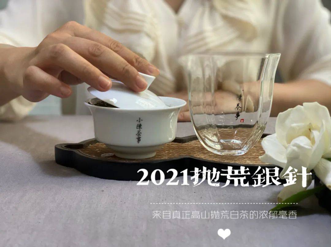 白茶小方片能做冷泡茶吗