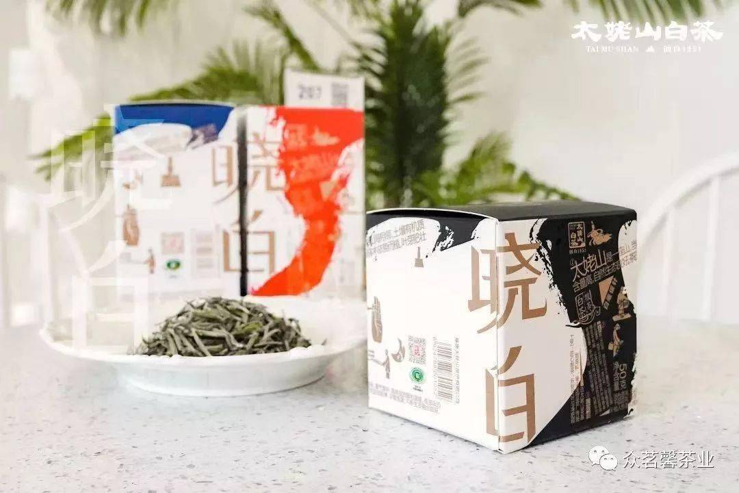 13年福鼎白茶喝法讲解