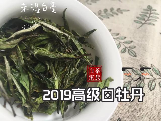 白茶为什么是苦的和甜的