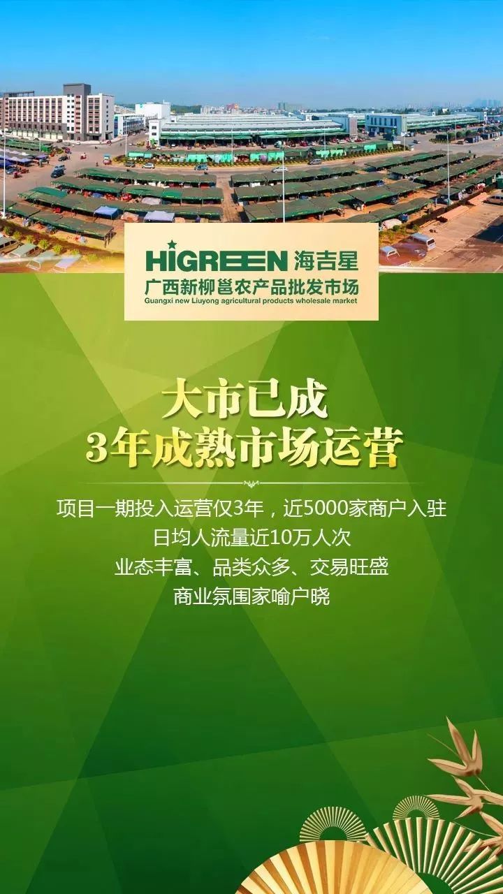 柳州可靠的白茶招商网站是什么