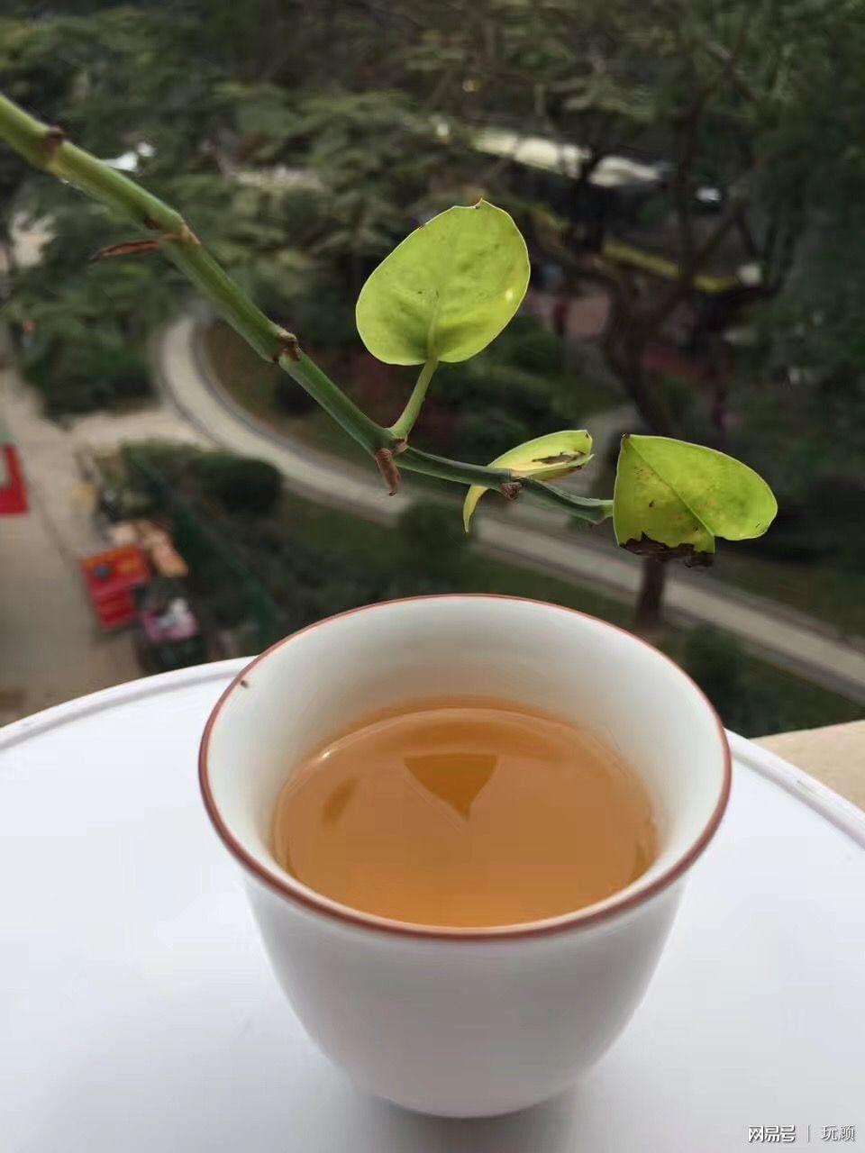 福鼎白茶为什么有药味？