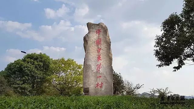 安吉白茶茶地址及茶园景点