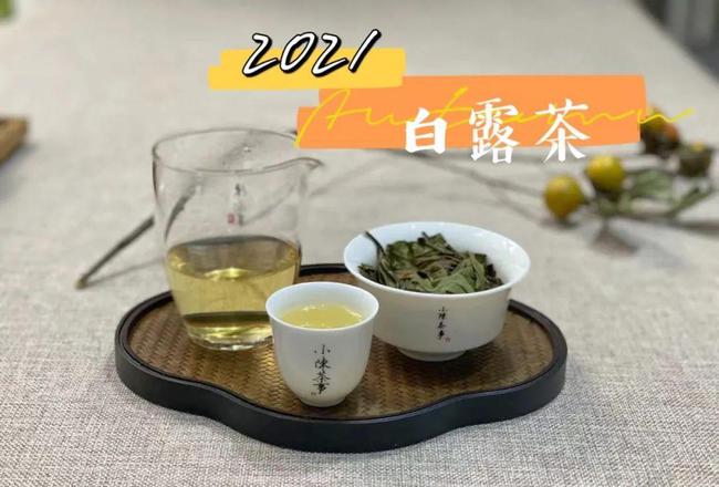 什么是白茶的苦味道