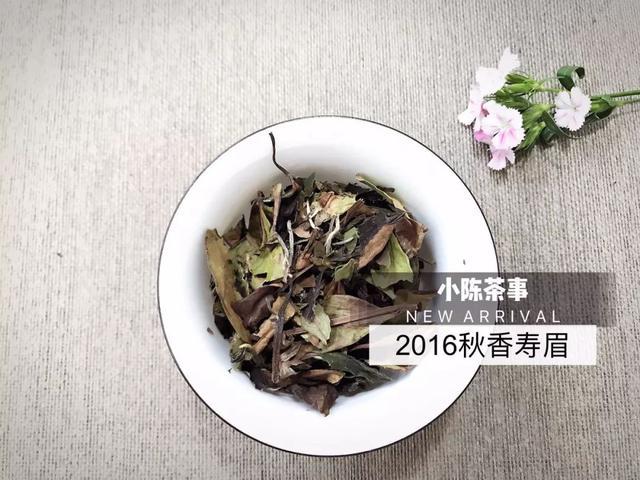 龙岩老白茶代加工厂在哪里