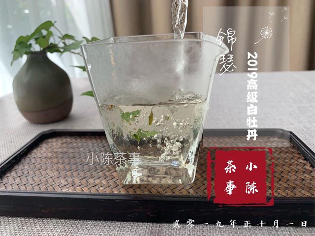 新手喝白茶还是龙井茶