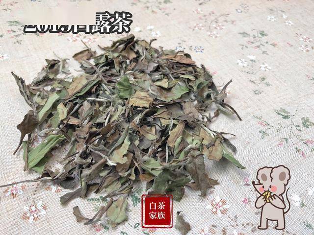 新手喝白茶还是龙井茶