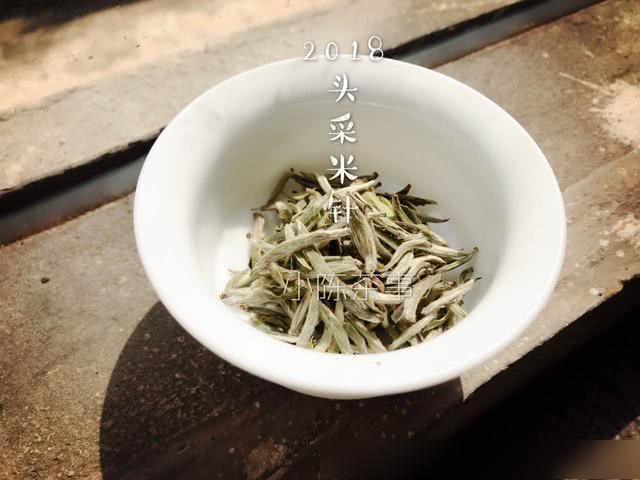 新手喝白茶还是龙井茶