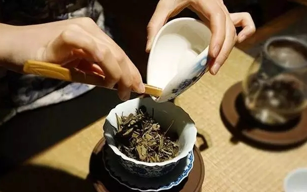 老白茶代理加盟电话和费用