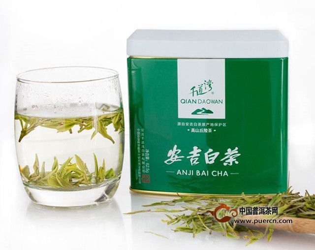 安白茶茶叶经销商